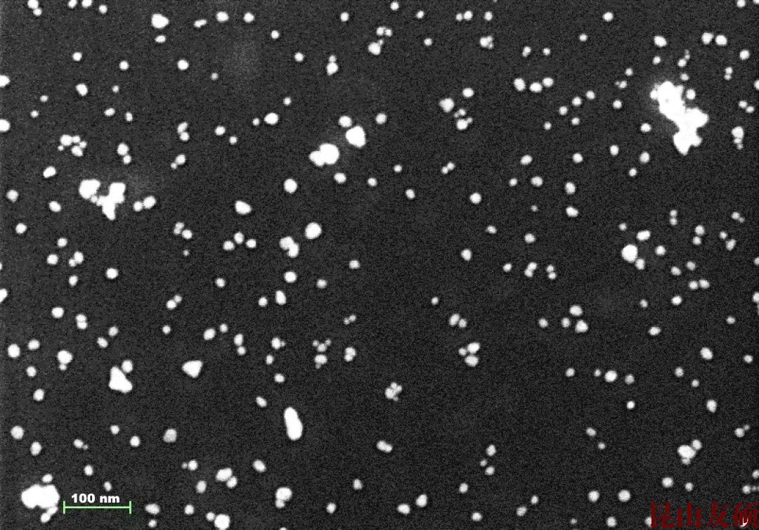 周口周口蔡司周口扫描电镜